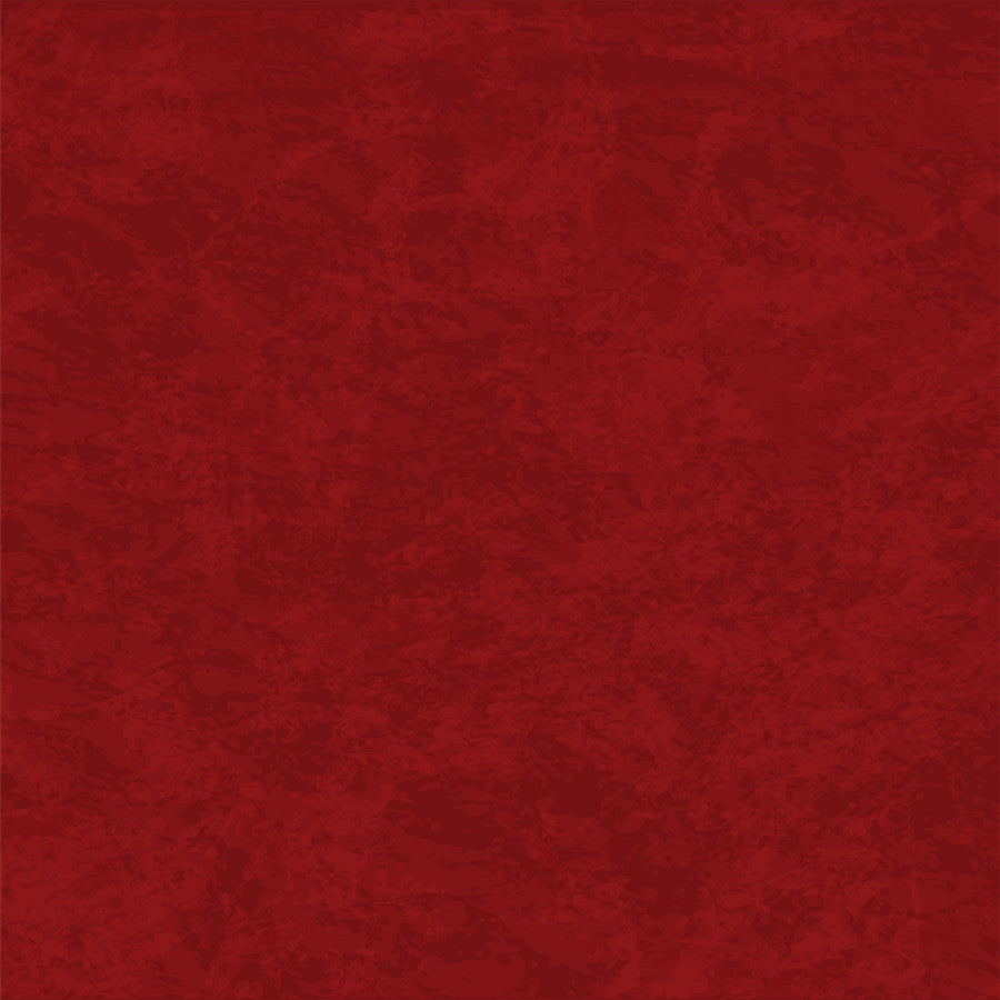 Joy To The World 12x12 Patterned Paper (The First Noel) - Single Sheet