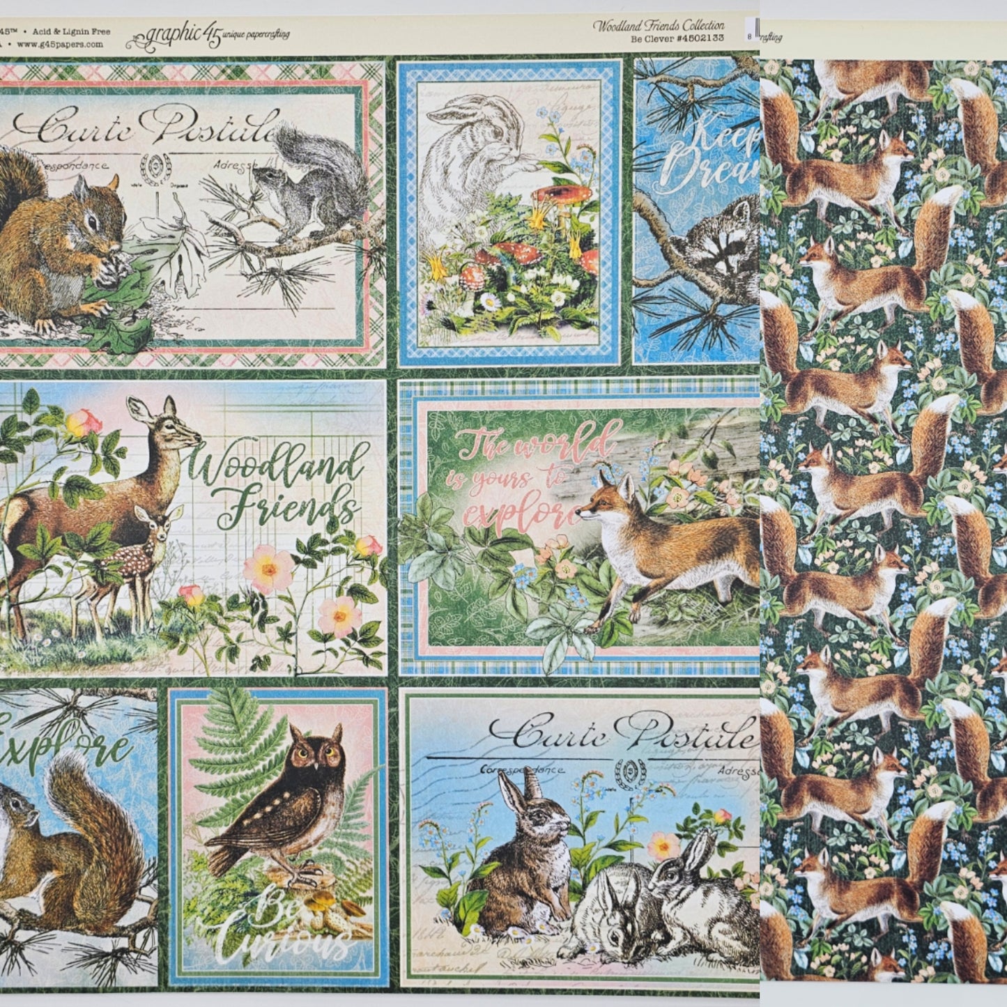 Be Clever - Single 12 x 12 Sheet (Woodland Friends)