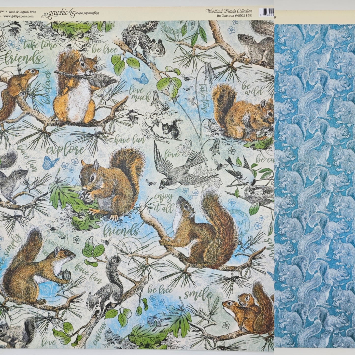 Be Curious - Single 12 x 12 Sheet (Woodland Friends)