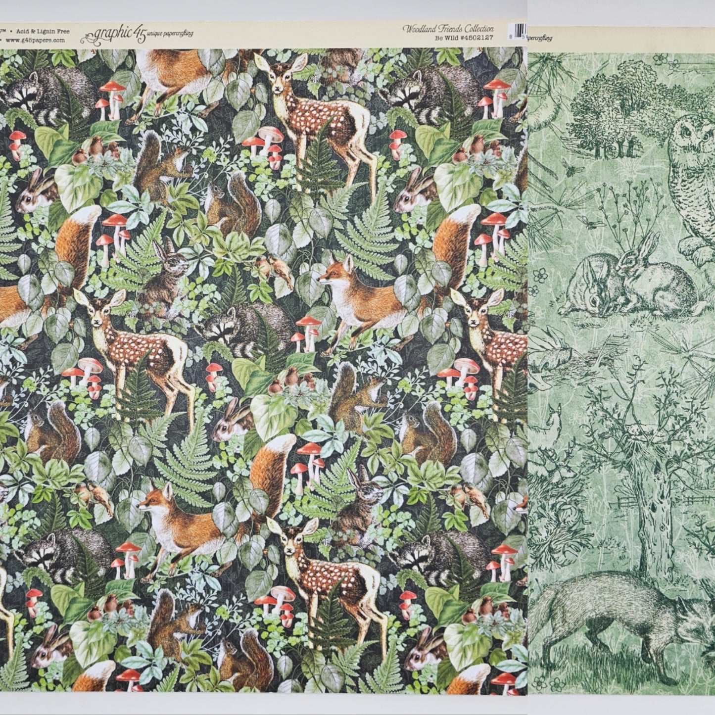 Be Wild - Single 12 x 12 Sheet (Woodland Friends)