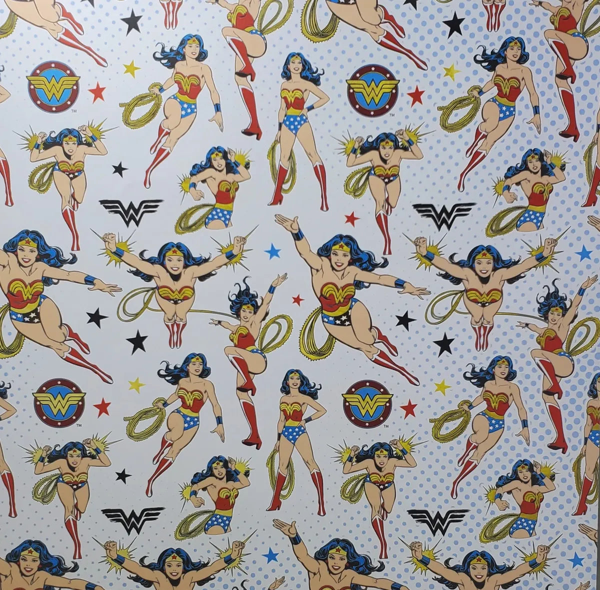 Wonder Woman Confidence & Strength 12x12 Sheet